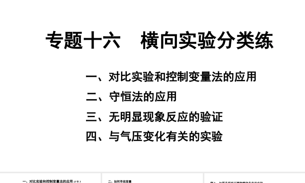 2024福建中考化学二轮中考题型研究 专题十六 横向实验分类练（课件）.pptx