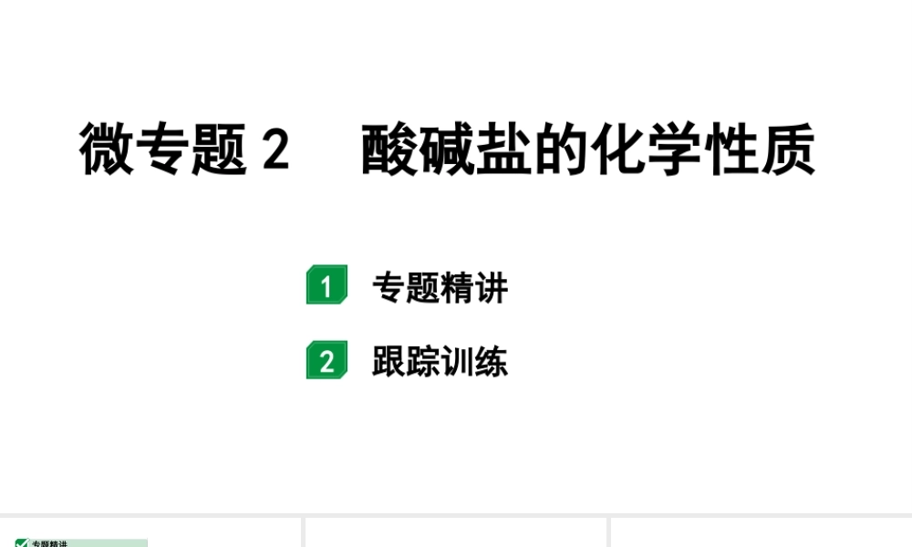 2024福建中考化学一轮复习 微专题2 酸碱盐的化学性质（课件）.pptx