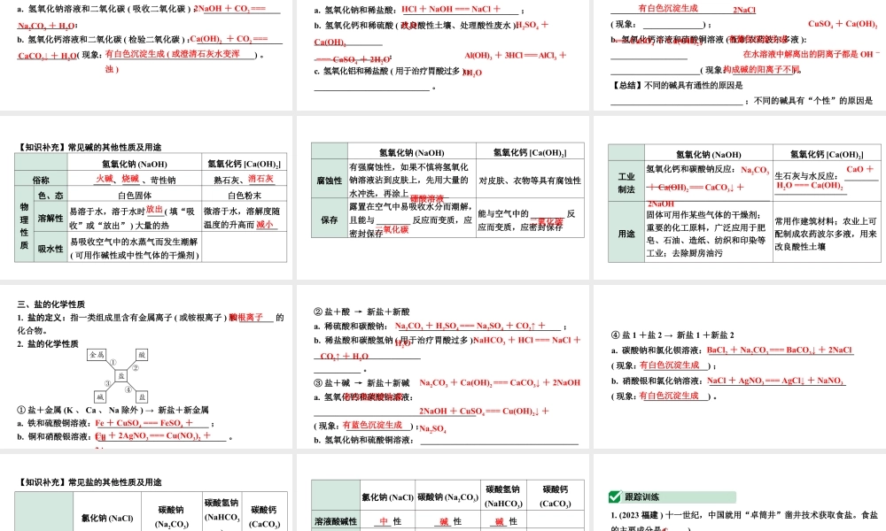 2024福建中考化学一轮复习 微专题2 酸碱盐的化学性质（课件）.pptx