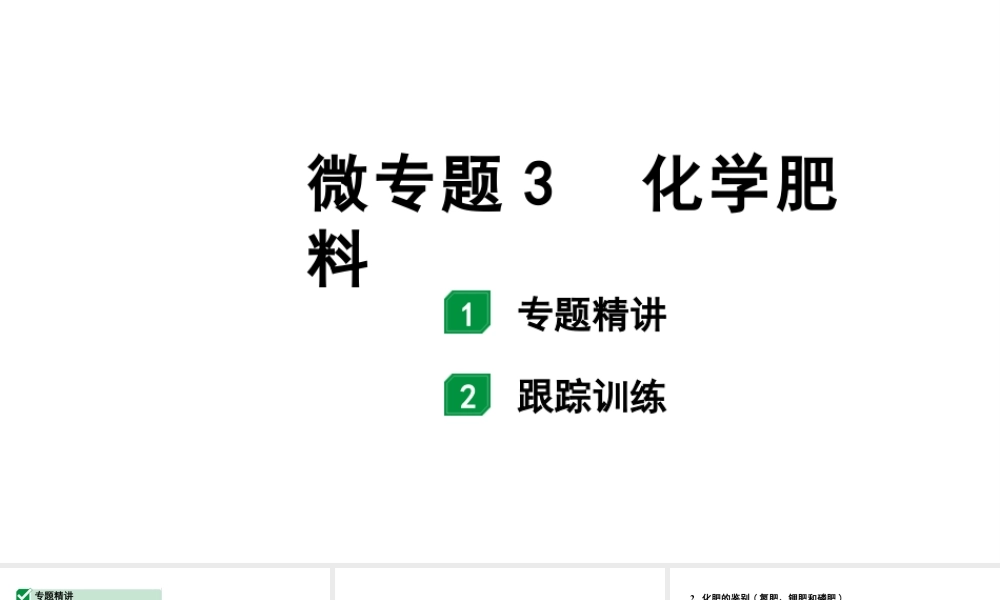 2024福建中考化学一轮复习 微专题3 化学肥料（课件）.pptx