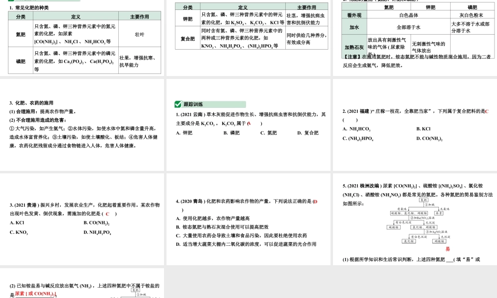 2024福建中考化学一轮复习 微专题3 化学肥料（课件）.pptx