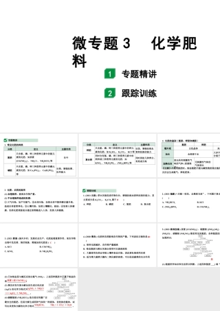2024福建中考化学一轮复习 微专题3 化学肥料（课件）.pptx