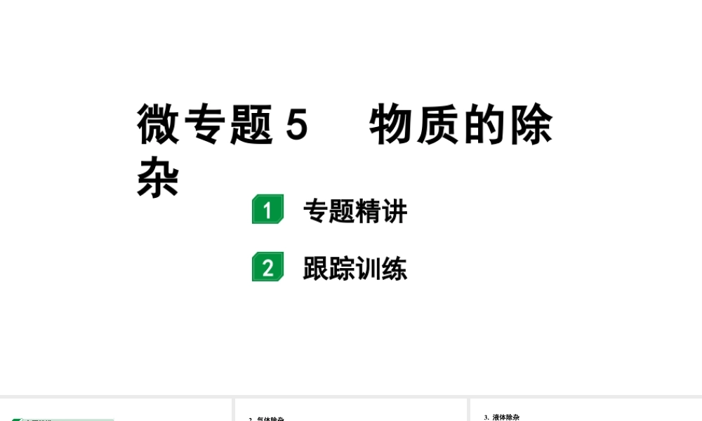 2024福建中考化学一轮复习 微专题5  物质的除杂（课件）.pptx