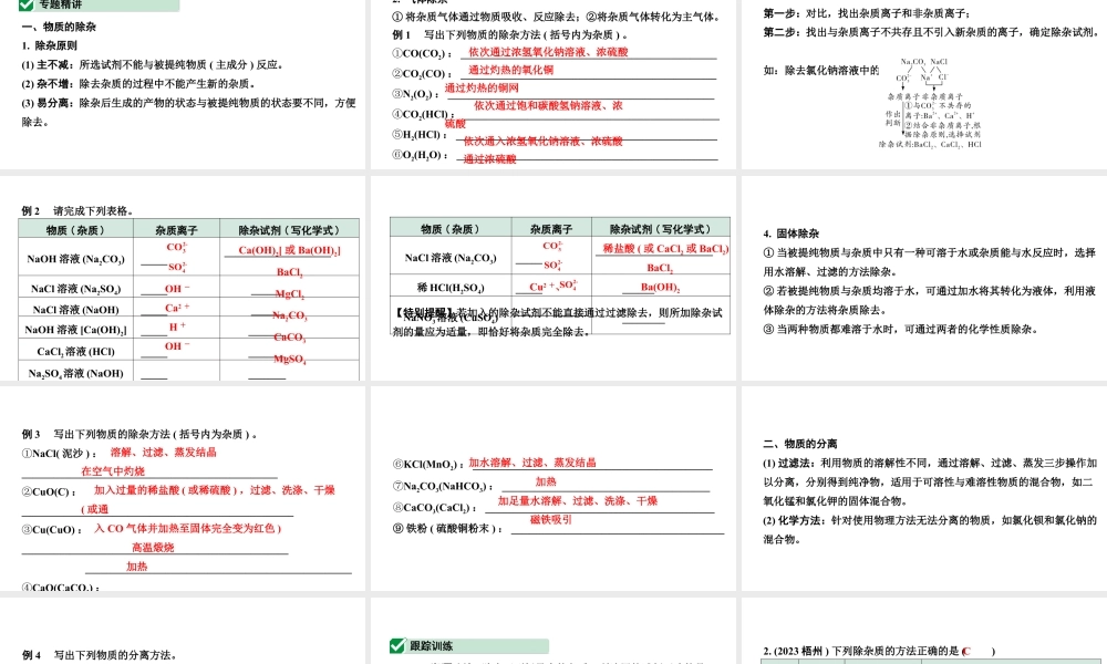 2024福建中考化学一轮复习 微专题5  物质的除杂（课件）.pptx