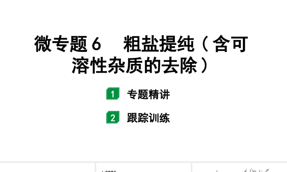 2024福建中考化学一轮复习 微专题6 粗盐提纯(含可溶性杂质的去除)（课件）.pptx