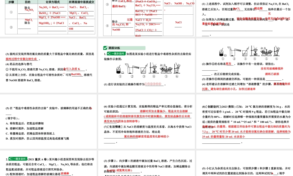 2024福建中考化学一轮复习 微专题6 粗盐提纯(含可溶性杂质的去除)（课件）.pptx