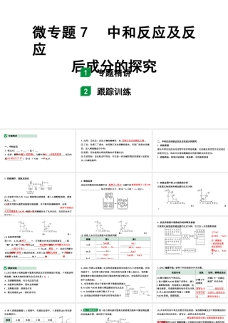 2024福建中考化学一轮复习 微专题7 中和反应及反应后成分的探究（课件）.pptx