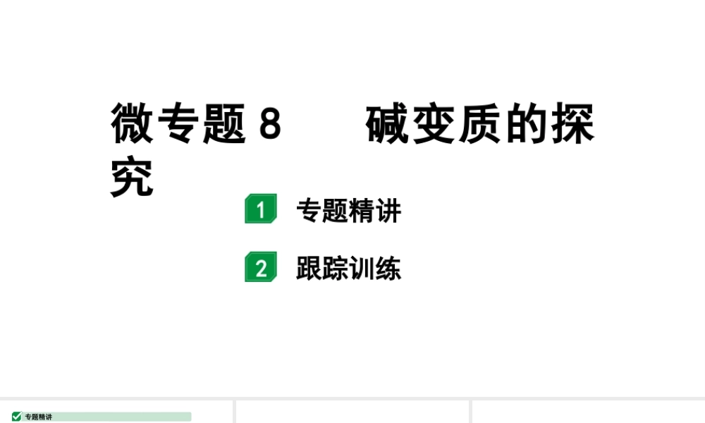 2024福建中考化学一轮复习 微专题8 碱变质的探究（课件）.pptx