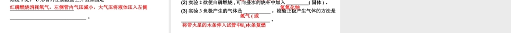 2024甘肃中考化学二轮复习之中考题型研究 专题一 横向实验归类练（课件）.pptx