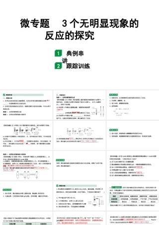 2024甘肃中考化学一轮复习 微专题 3个无明显现象的反应的探究（课件）.pptx