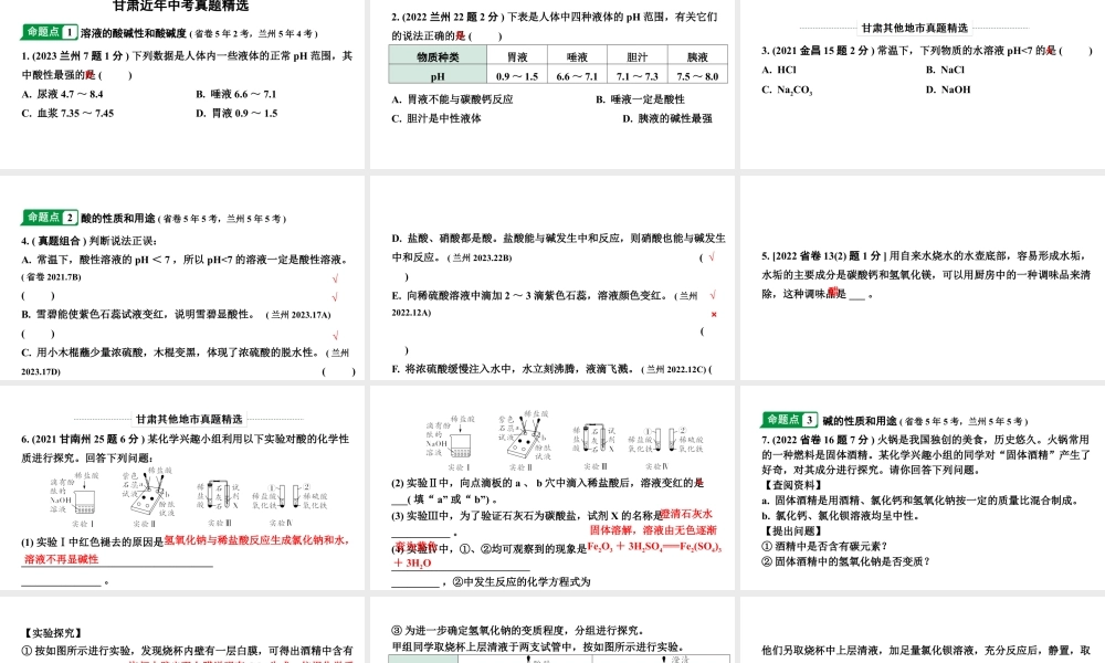 2024甘肃中考化学一轮复习之中考考点研究 微专题 酸和碱（课件）.pptx