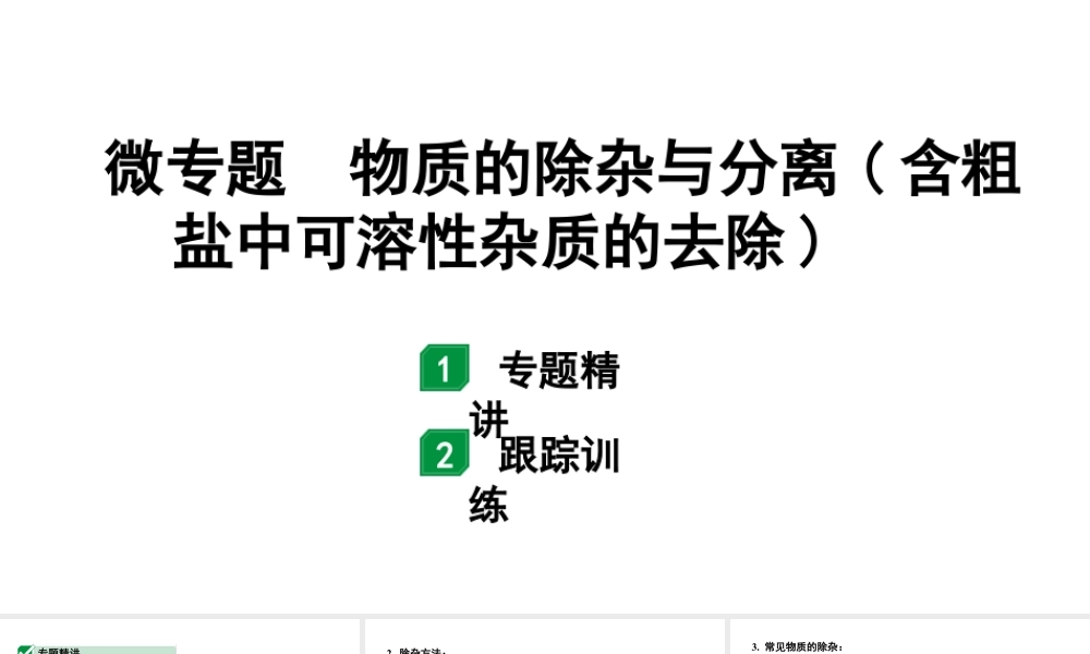 2024甘肃中考化学一轮复习之中考考点研究 微专题 物质的除杂与分离（含粗盐中可溶性杂质的去除）（课件）.pptx