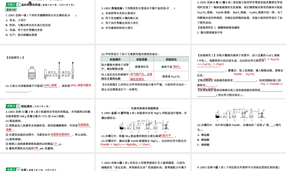 2024甘肃中考化学一轮复习之中考考点研究 微专题　盐　化肥（课件）.pptx