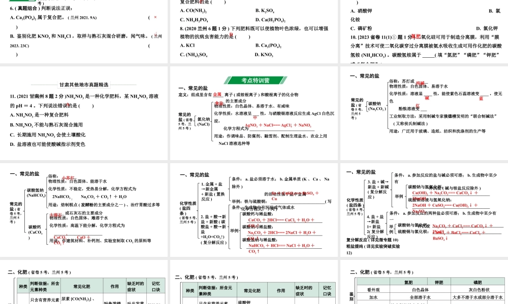 2024甘肃中考化学一轮复习之中考考点研究 微专题　盐　化肥（课件）.pptx