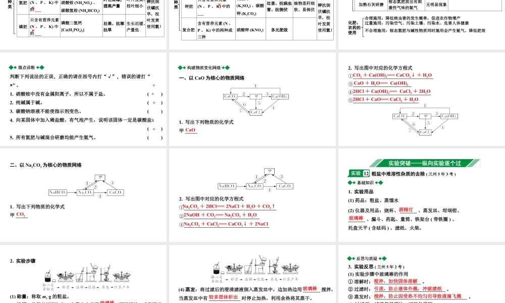 2024甘肃中考化学一轮复习之中考考点研究 微专题　盐　化肥（课件）.pptx