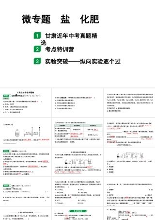 2024甘肃中考化学一轮复习之中考考点研究 微专题　盐　化肥（课件）.pptx