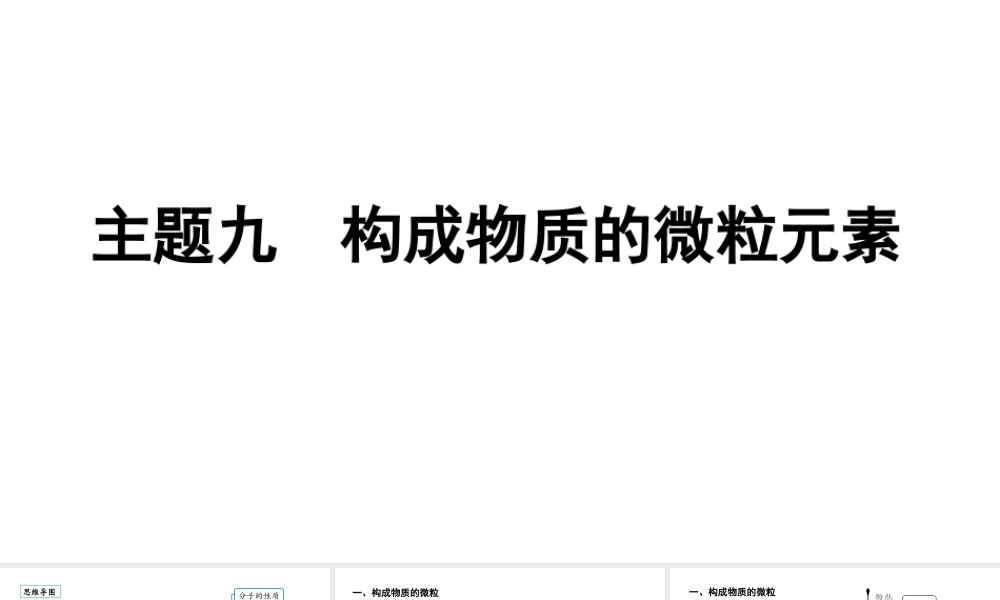 2024贵阳中考化学二轮专题复习 主题九 构成物质的微粒 元素（课件）.pptx