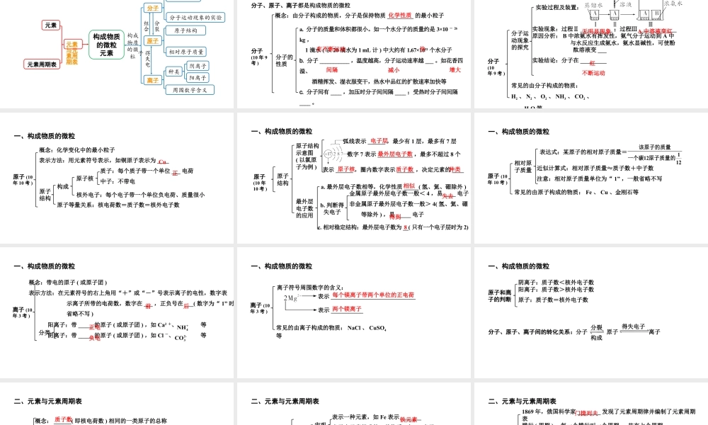 2024贵阳中考化学二轮专题复习 主题九 构成物质的微粒 元素（课件）.pptx