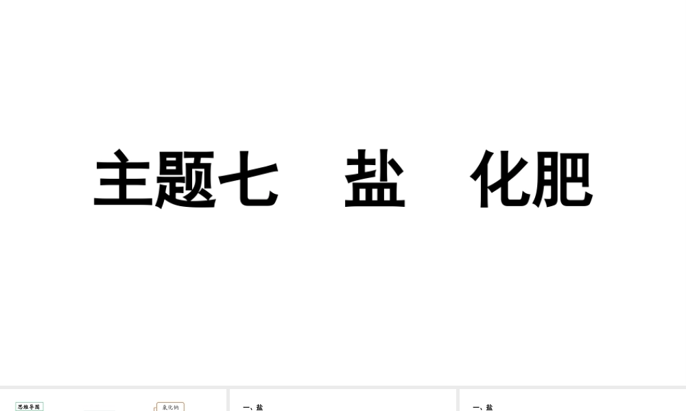 2024贵阳中考化学二轮专题复习 主题七　盐　化肥（课件）.pptx