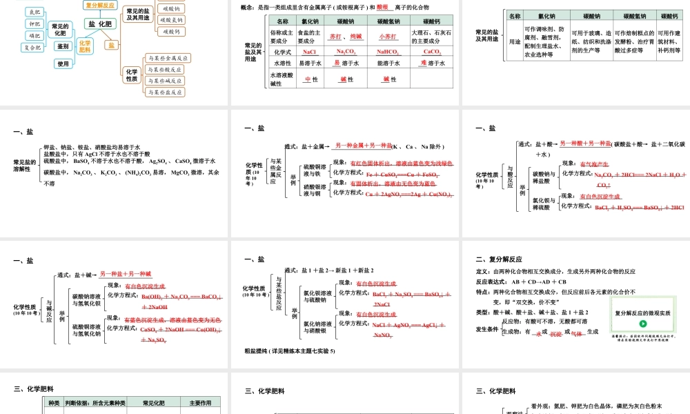 2024贵阳中考化学二轮专题复习 主题七　盐　化肥（课件）.pptx