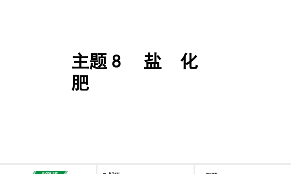 2024贵州中考化学二轮专题复习 主题8  盐 化肥（课件）.ppt