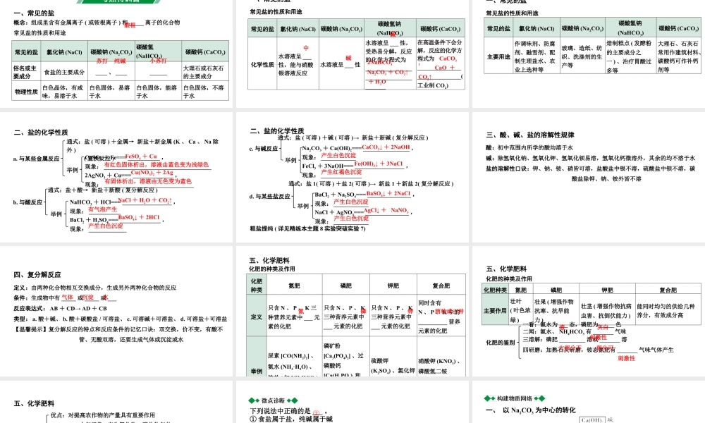 2024贵州中考化学二轮专题复习 主题8  盐 化肥（课件）.ppt