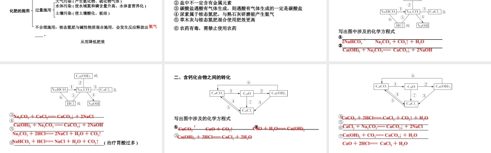 2024贵州中考化学二轮专题复习 主题8  盐 化肥（课件）.ppt