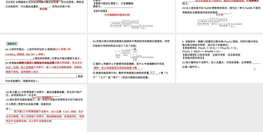 2024海南中考化学二轮重点专题突破 微专题 氢氧化钠、氢氧化钙变质的探究（课件）.ppt