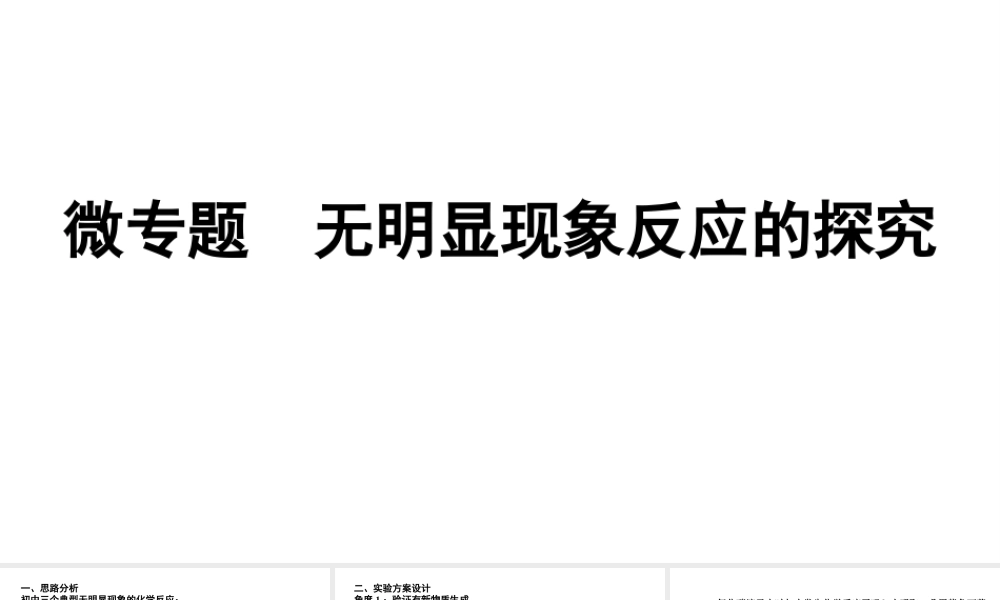 2024海南中考化学二轮重点专题突破 微专题 无明显现象反应的探究（课件）.ppt