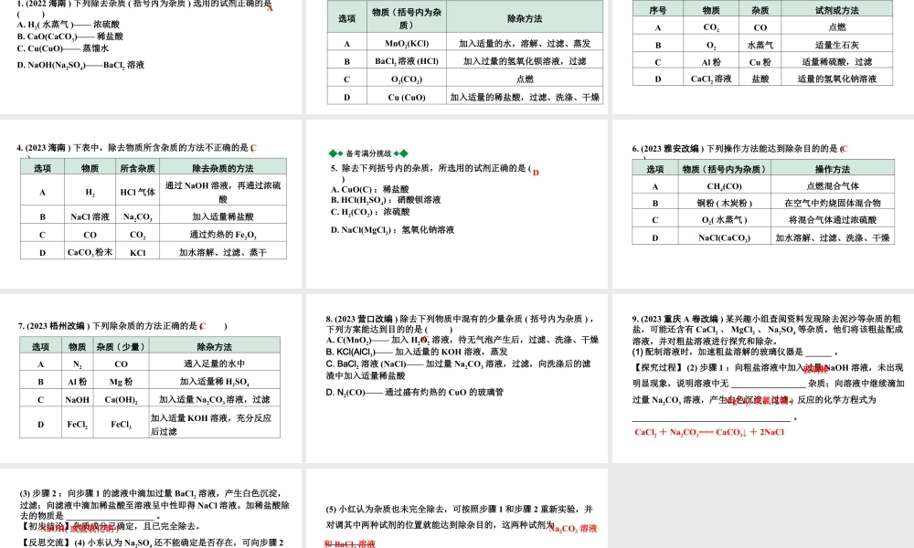 2024海南中考化学二轮重点专题突破 微专题 物质的除杂（课件）.ppt