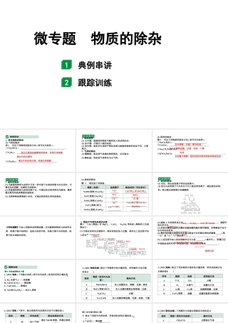 2024海南中考化学二轮重点专题突破 微专题 物质的除杂（课件）.ppt