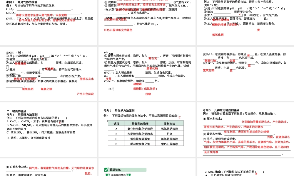 2024海南中考化学二轮重点专题突破 微专题 物质的检验与鉴别（课件）.pptx