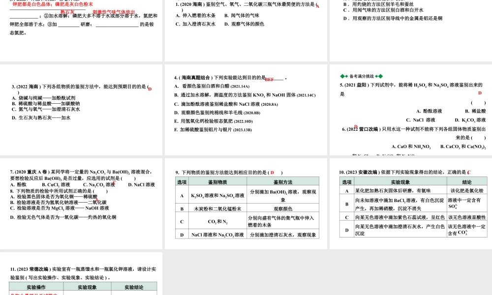 2024海南中考化学二轮重点专题突破 微专题 物质的检验与鉴别（课件）.pptx