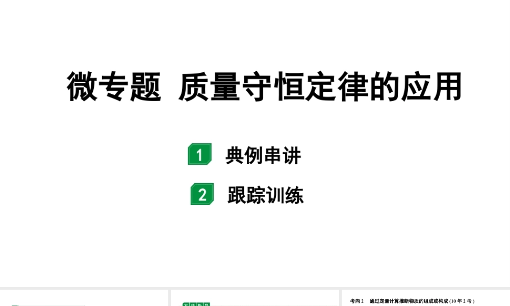 2024海南中考化学二轮重点专题突破 微专题 质量守恒定律的应用（课件）.ppt