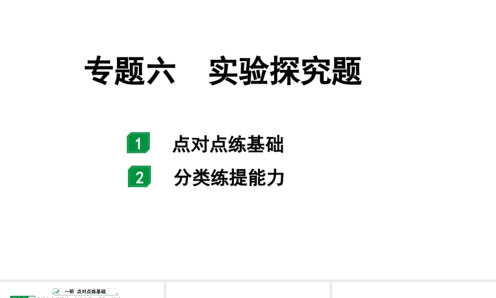 2024海南中考化学二轮重点专题突破 专题六 实验探究题（课件）.pptx