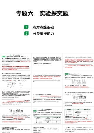 2024海南中考化学二轮重点专题突破 专题六 实验探究题（课件）.pptx