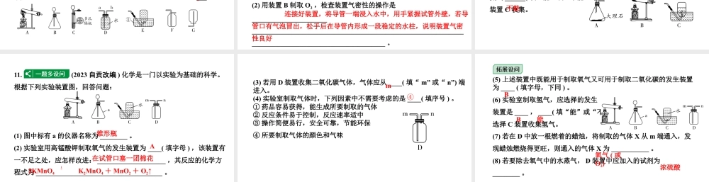 2024海南中考化学二轮重点专题突破 专题四 常见气体的制取（课件）.pptx