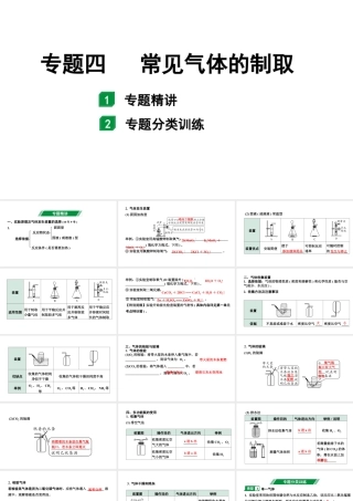 2024海南中考化学二轮重点专题突破 专题四 常见气体的制取（课件）.pptx