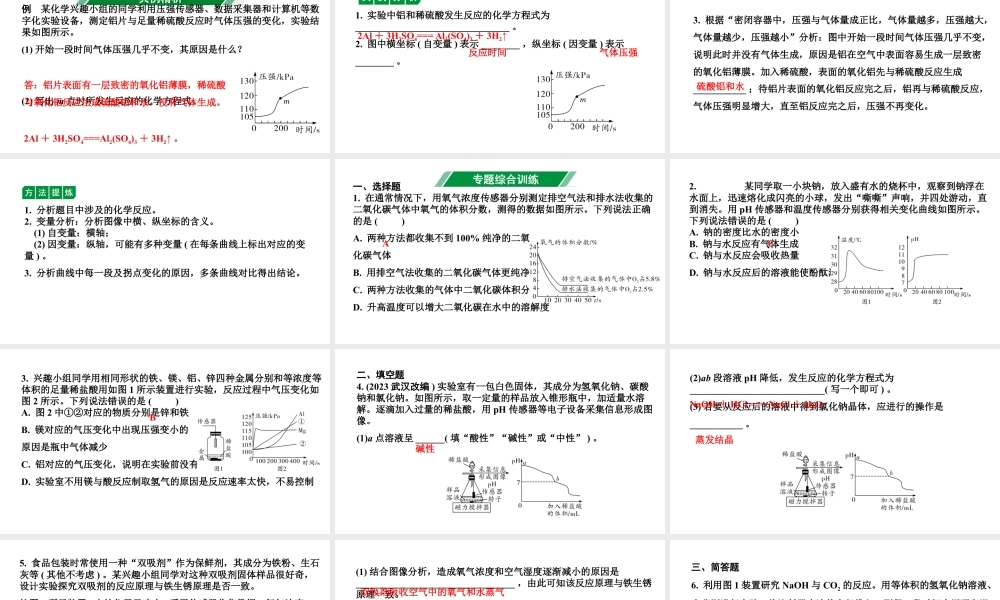 2024海南中考化学二轮重点专题突破 专题五 数字化实验（课件）.ppt