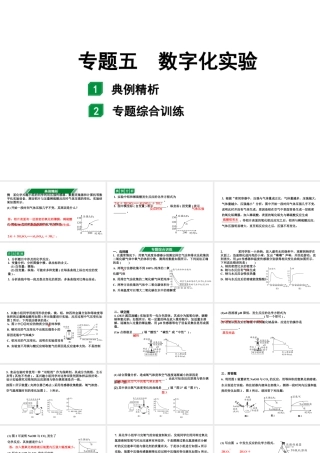 2024海南中考化学二轮重点专题突破 专题五 数字化实验（课件）.ppt