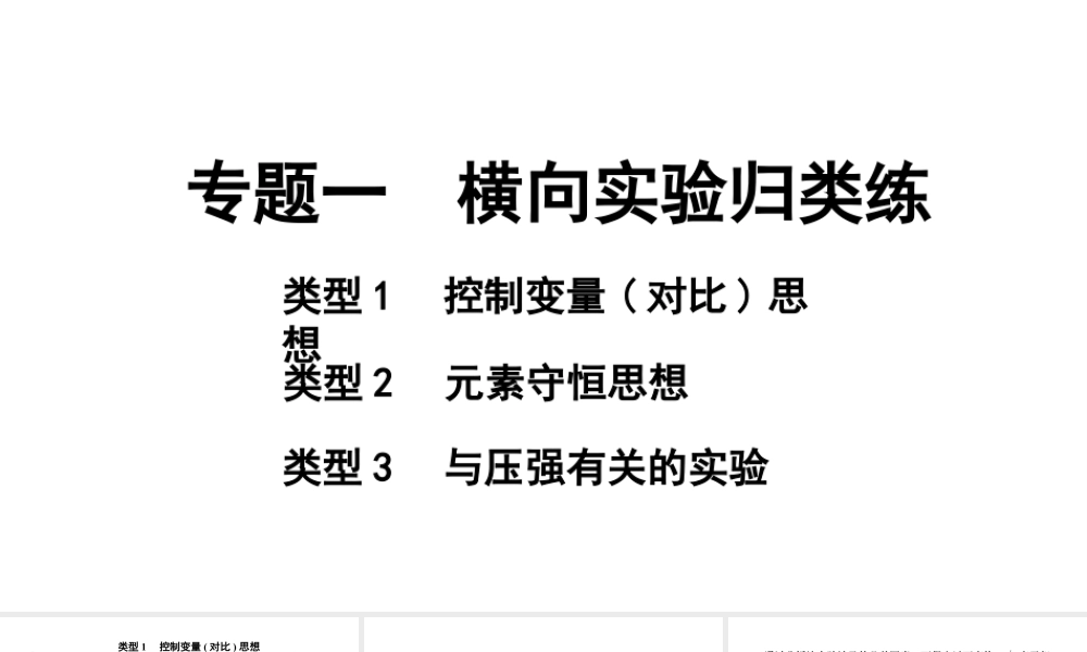 2024海南中考化学二轮重点专题突破 专题一 横向实验归类练（课件）.pptx