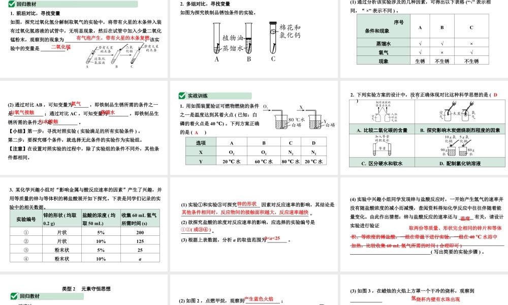 2024海南中考化学二轮重点专题突破 专题一 横向实验归类练（课件）.pptx