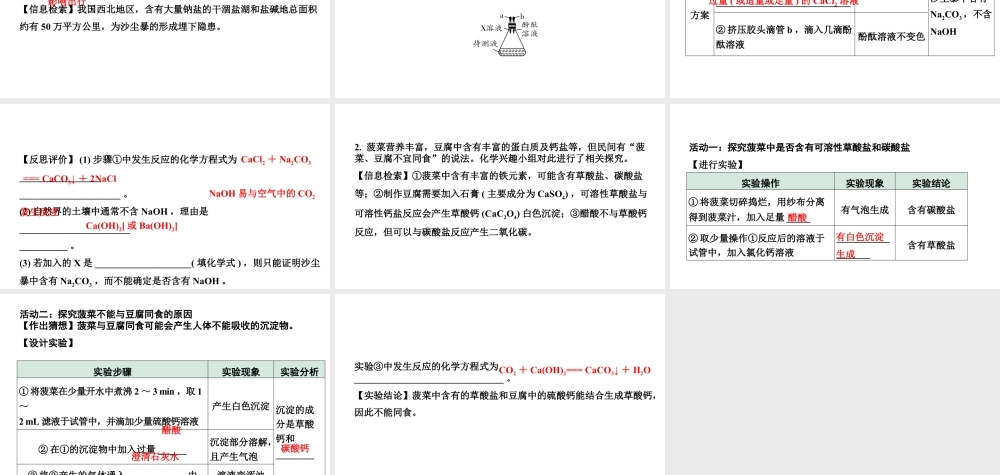 2024海南中考化学三轮冲刺系列 全国视野创新题型推荐（课件）.ppt