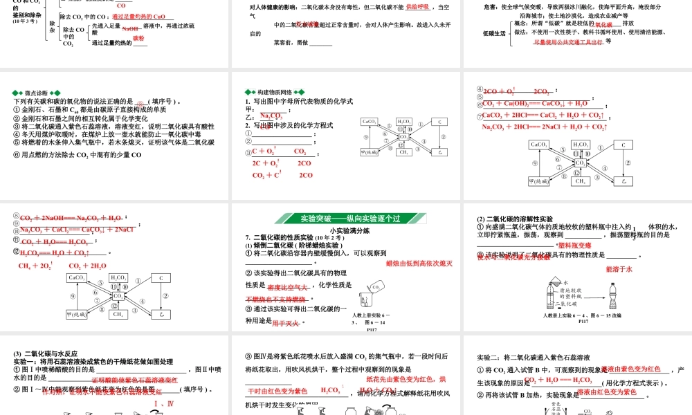 2024海南中考化学一轮复习 中考考点研究 第六单元 碳和碳的氧化物（课件）.pptx