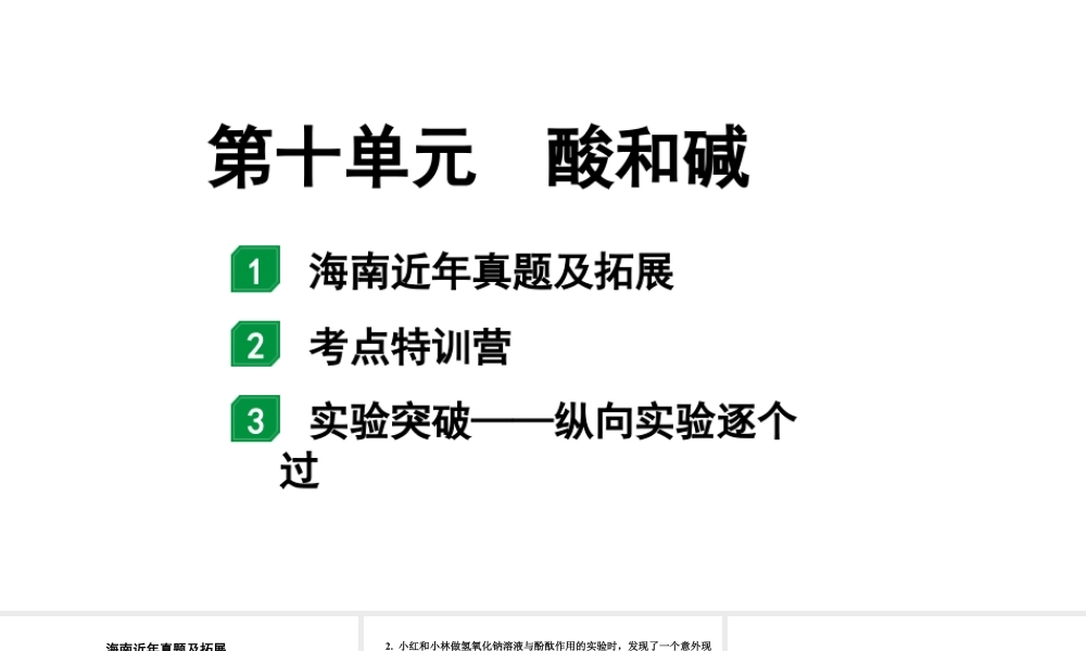 2024海南中考化学一轮复习 中考考点研究 第十单元 酸和碱（课件）.pptx