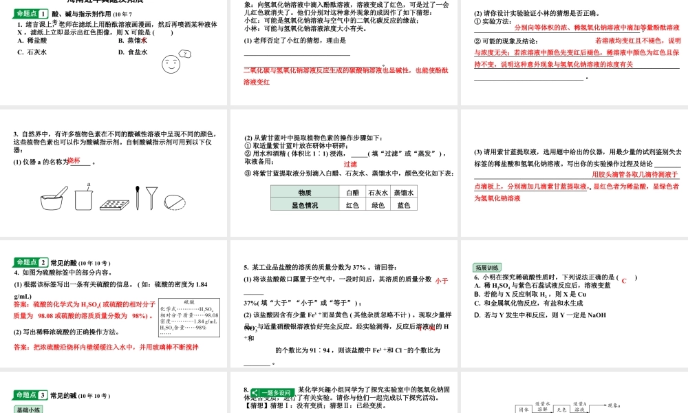 2024海南中考化学一轮复习 中考考点研究 第十单元 酸和碱（课件）.pptx