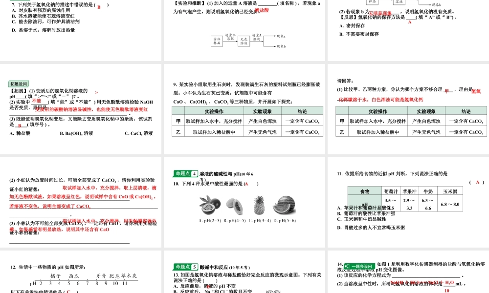 2024海南中考化学一轮复习 中考考点研究 第十单元 酸和碱（课件）.pptx