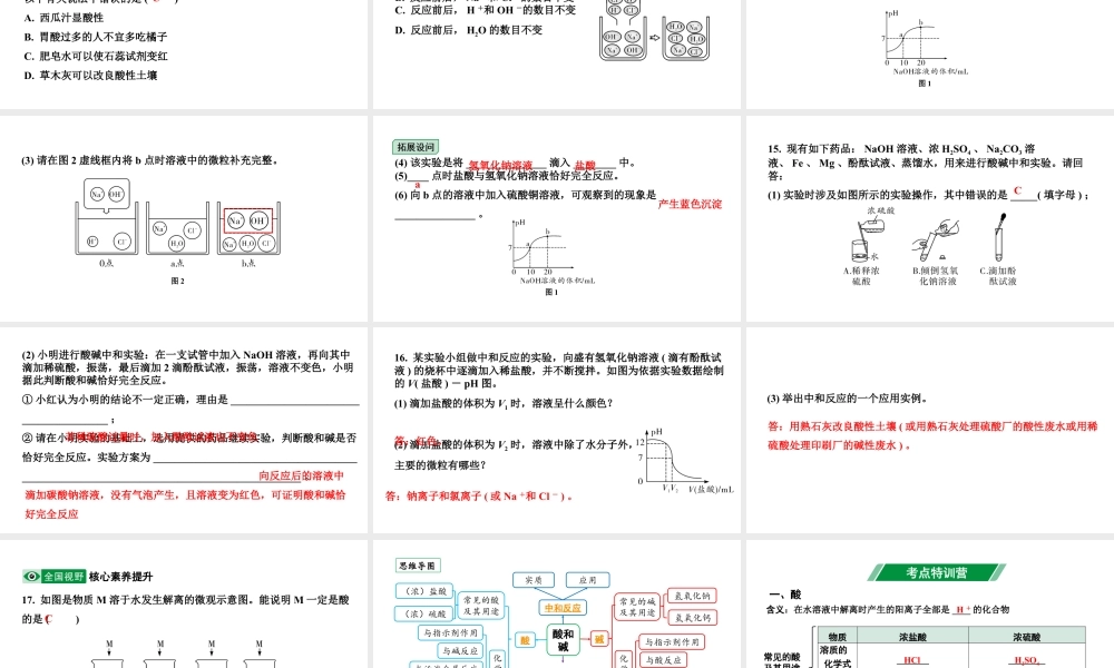 2024海南中考化学一轮复习 中考考点研究 第十单元 酸和碱（课件）.pptx