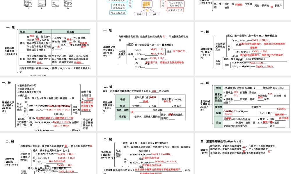 2024海南中考化学一轮复习 中考考点研究 第十单元 酸和碱（课件）.pptx