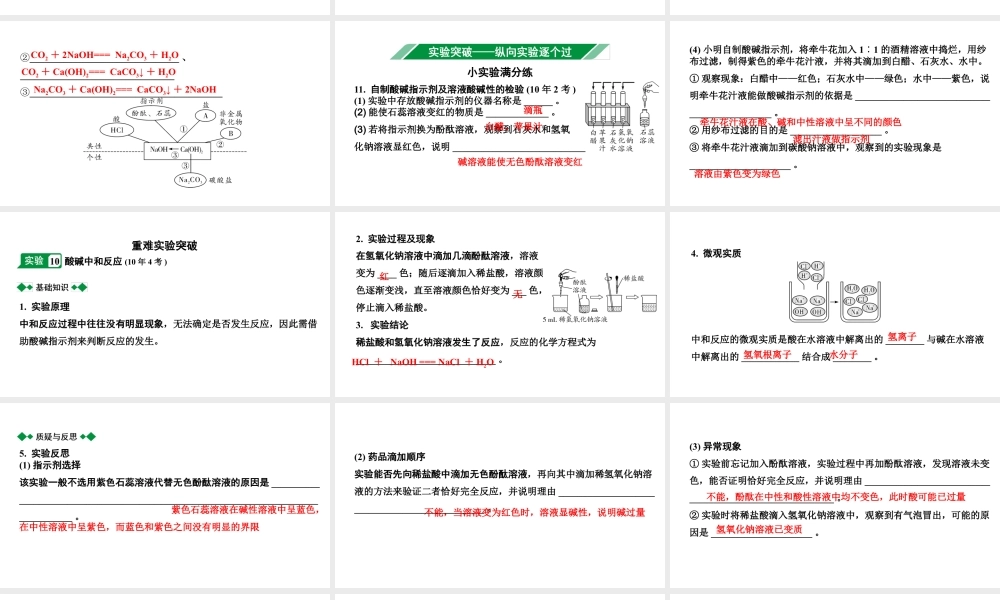 2024海南中考化学一轮复习 中考考点研究 第十单元 酸和碱（课件）.pptx